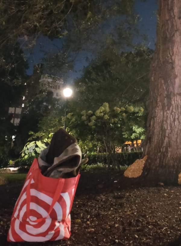 The Red Bag and the Tree